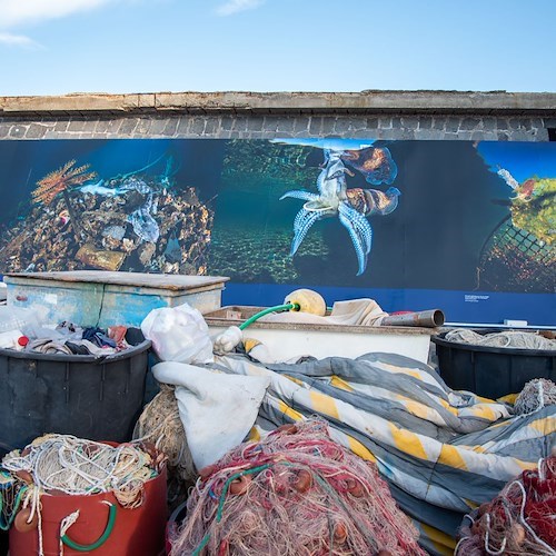 A Procida una mostra che fa riflettere perché racconta le risposte adattive di pesci e molluschi all'inquinamento marino