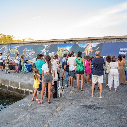 A Procida una mostra che fa riflettere perché racconta le risposte adattive di pesci e molluschi all'inquinamento marino