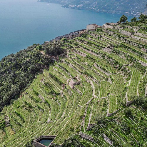 A Ravello giornata di studi su "Vecchi problemi e nuove soluzioni. I terrazzamenti della Costa d’Amalfi, paesaggio culturale UNESCO"