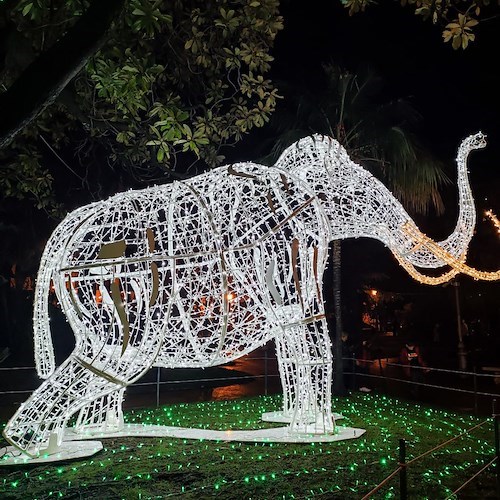 A Salerno con l'accensione delle Luci d'Artista ha inizio il Natale: ecco il programma tra musica, arte e spettacolo