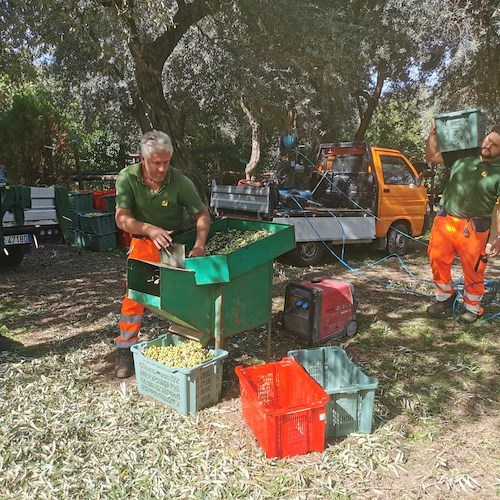 A Sorrento una "festa contadina" ai Bagni della Regina Giovanna