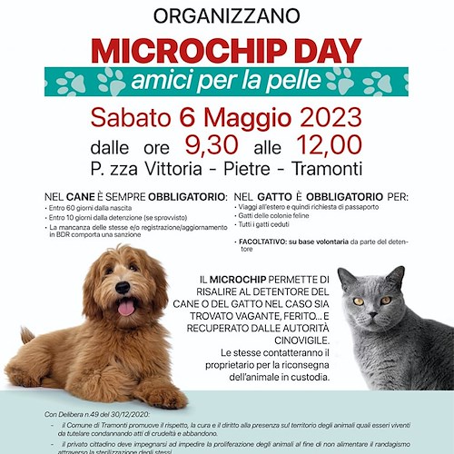 A Tramonti torna il “Microchip Day”: sabato 6 maggio iscrizione gratuita all'anagrafe canina