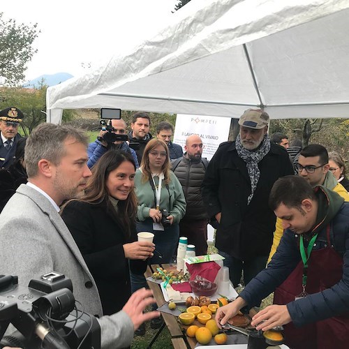 Accessibilità e inclusione, oggi il Ministro per le Disabilità in visita al Parco Archeologico di Pompei 