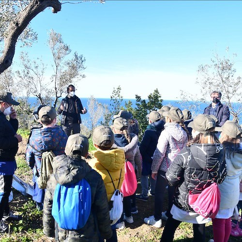 Ad Anacapri una 10 giorni dedicata alla valorizzazione dell’Olio Extra Vergine di Oliva 
