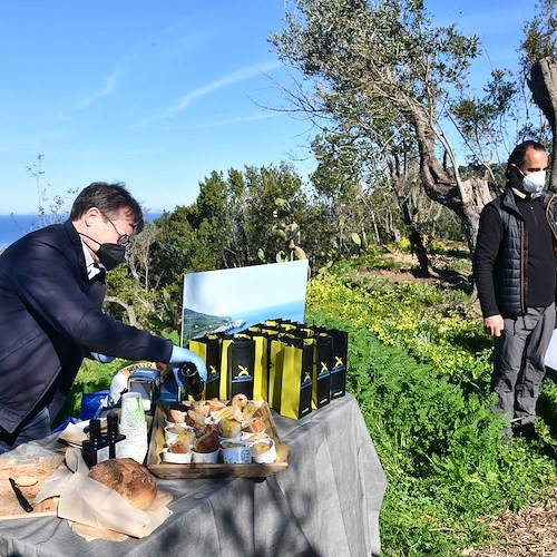 Ad Anacapri una 10 giorni dedicata alla valorizzazione dell’Olio Extra Vergine di Oliva 