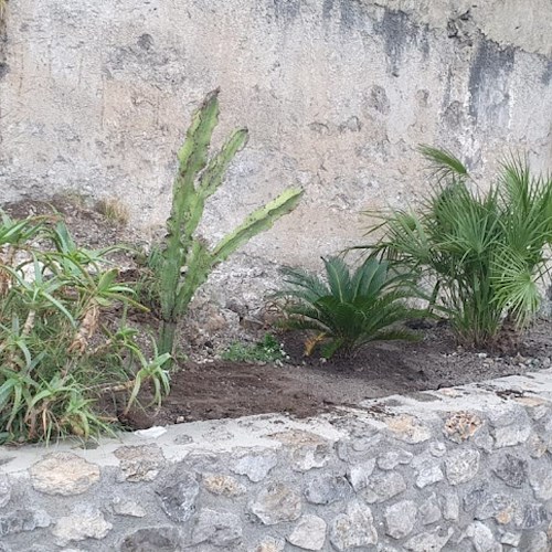 Ad Erchie i cittadini riqualificano area degradata con aiuola, ma qualcuno estirpa le piante...