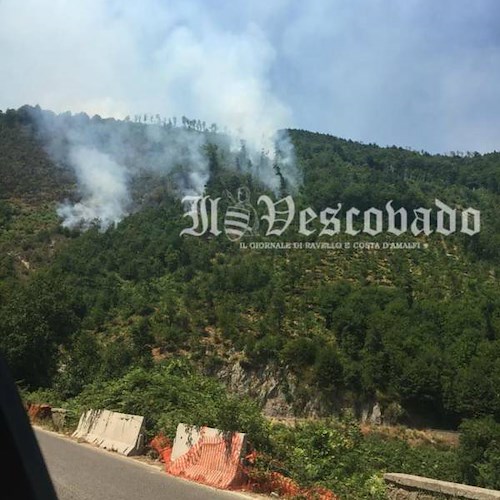 ﻿Agosto di fuoco: incendi a Tramonti e Corbara /FOTO