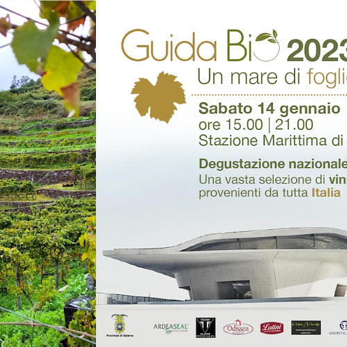 Agricoltura biologica, due vini Costa d'Amalfi DOC premiati con la "Foglia d’Oro 2023"