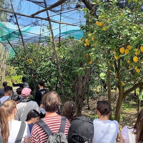 Al via la prima edizione del "Gran Tour Sorrento Walks", 15 chilometri di camminate, sospesi tra terra e mare