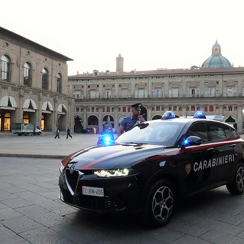 Alfa Romeo Tonale Carabinieri - Torino