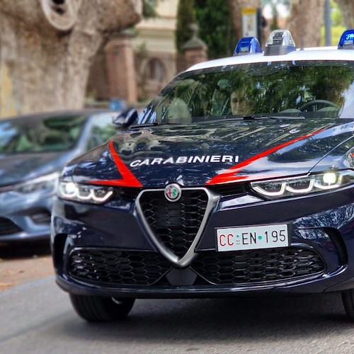 Alfa Romeo Tonale Carabinieri - Roma