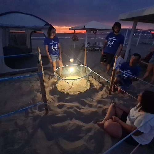Alla Lega Navale Italiana di Salerno il “Progetto Caretta in Vista”: la protezione dei nidi di tartaruga marina sul litorale campano