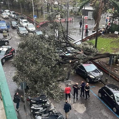Allerta meteo arancione, i danni del vento forte dalla Costa d’Amalfi a Napoli /FOTO