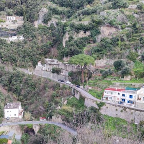 Amalfi, 10 marzo strada interrotta all'altezza di Vettica per il taglio di un albero