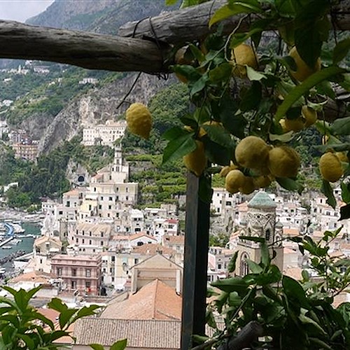Amalfi, cade in giardino e precipita nel vuoto: paura per anziano di Vettica