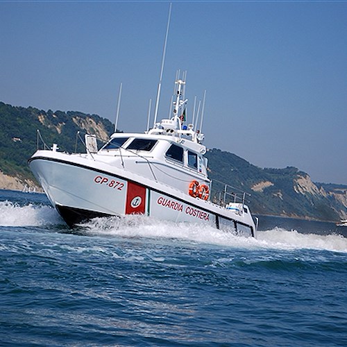 Amalfi, controlli Guardia Costiera: sequestrati 40 kg di totani