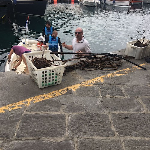 Amalfi, dal fondale del porto estratta una tonnellata di rifiuti [FOTO]