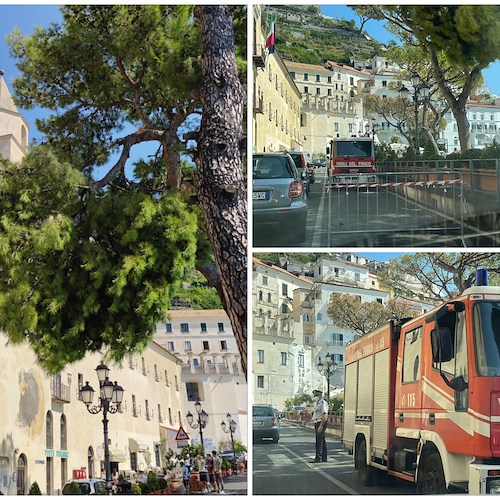 Amalfi, grosso ramo in bilico: “stradone” interdetto [FOTO]