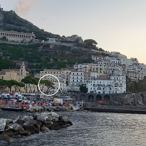 Amalfi: malati tre pini sul Lungomare dei Cavalieri, saranno abbattuti e sostituiti con nuovi esemplari