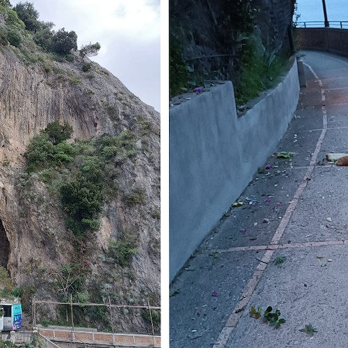 Amalfi, pale di fico si staccano dal costone: prestare attenzione sulla Passeggiata Longfellow<br />&copy; Gianluca Laudano