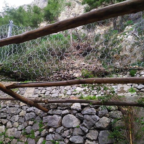 Amalfi, pericoloso smottamento nella pineta: alberi e materiale franoso sulla passeggiata Longfellow [FOTO]