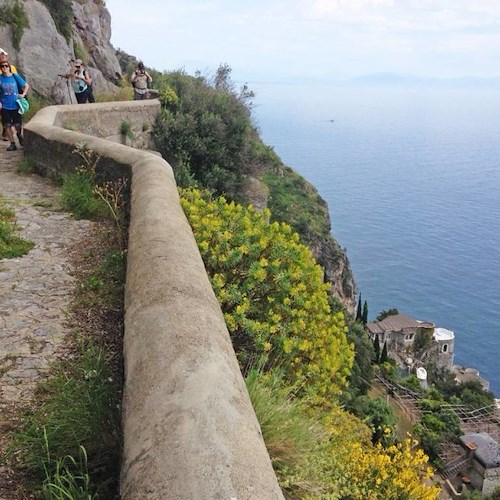 Amalfi-Positano Wine Trail: 9-10 dicembre si corre per i sentieri della Costiera