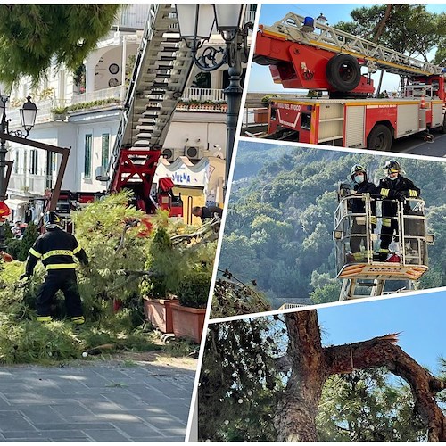 Amalfi: reciso ramo in bilico, viabilità ripristinata [FOTO]