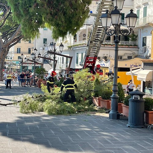 Amalfi: reciso ramo in bilico, viabilità ripristinata [FOTO]