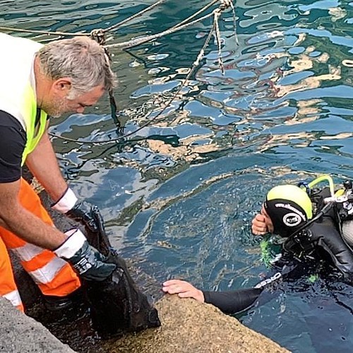 Amalfi. Spiagge e Fondali Puliti, studenti del "Marini Gioia" adottano la piccola baia