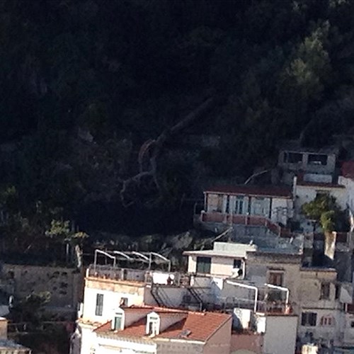 Amalfi, vento sradica pino marittimo a poca distanza dalle abitazioni /FOTO