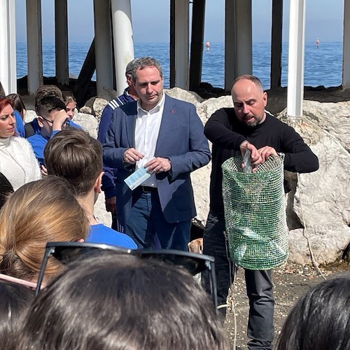 Ambiente. A Sorrento, studenti a scuola di tutela del mare 