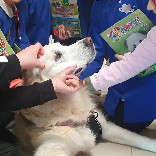 Anche Tramonti aderisce alla campagna "Cucciolotti Tour", per gli alunni pet terapy con Zola
