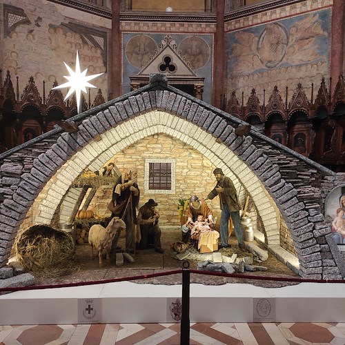Assisi. Oggi accensione Albero e benedizione del Presepe nella Basilica di San Francesco /Programma