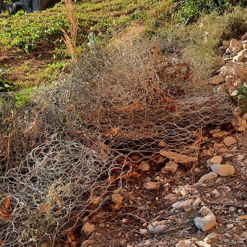 Atrani, cittadini si mobilitano per ripulire la grotta prospiciente il Santuario /FOTO