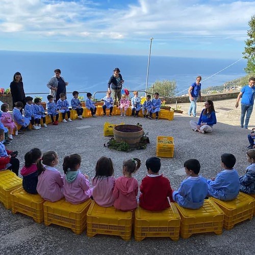 Bambini in Vigna alle Cantine Marisa Cuomo per toccare con mano tutte le fasi della vendemmia