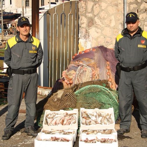 Battuta di pesca illegale nel mare della Costiera, Finanza sorprende peschereccio /FOTO