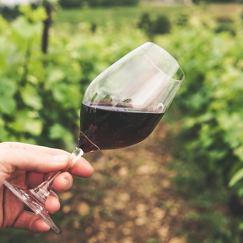 «Bello il turismo del vino, ma nel rispetto degli abitanti»: Carlo Petrini e l’invito alla giusta misura