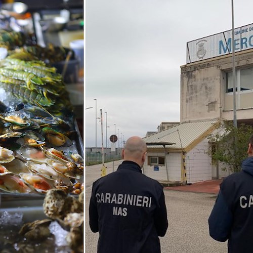 Blitz dei NAS al mercato ittico di Salerno: quattro diffide per “non conformità” igienico-sanitarie