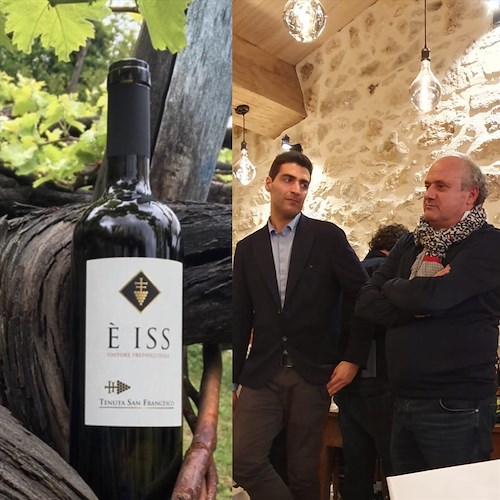 Bordeaux chiama Tramonti: il Tintore è tra i vitigni storici riconosciuti e apprezzati dai francesi