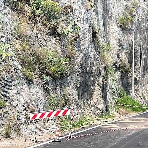 Caduta pale di fico a Conca dei Marini, Gagliano: «La Divina continua ad essere abbandonata a se stessa»