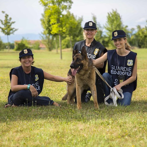 Campania: aperte le iscrizioni al corso gratuito per diventare guardia zoofila Oipa /COME CANDIDARSI