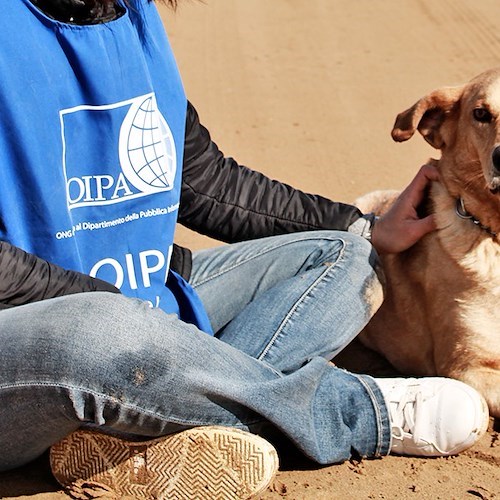 Campania: aperte le iscrizioni al corso gratuito per guardie zoofile OIPA