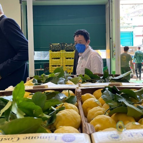 Campania partecipa alla fiera “Terra Madre” di Torino, aziende possono aderire entro l’8 luglio