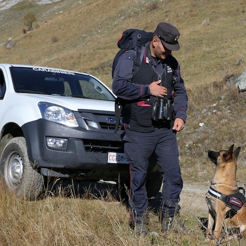 Carabinieri, al via concorso per la nomina di 12 tenenti in servizio permanente nel ruolo Forestale