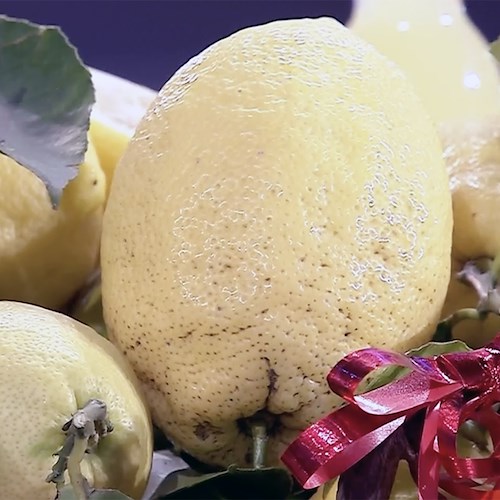 Carlo De Riso porta i limoni della Costa d’Amalfi a i “Soliti Ignoti” su Rai1 [FOTO e VIDEO]
