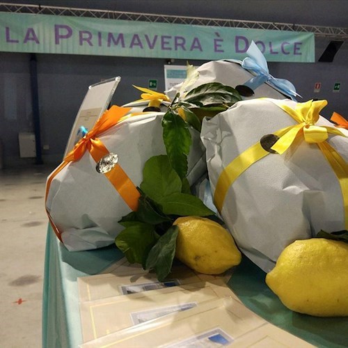 Classifica migliori 10 colombe d'Italia per Dissapore: al quinto posto c'è Pansa di Amalfi 