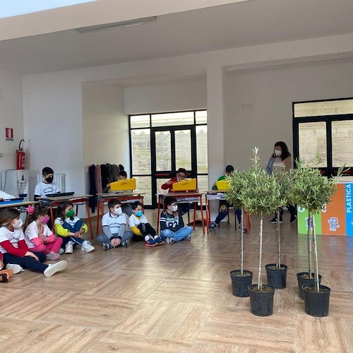 Conca dei Marini, presentata a scuola la festa dell'albero che si terrà a novembre: piantato un carrubo