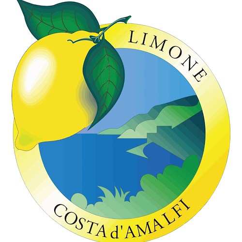 Consorzio Tutela Limone Costa d'Amalfi IGP: plebiscito per Angelo Amato confermato presidente