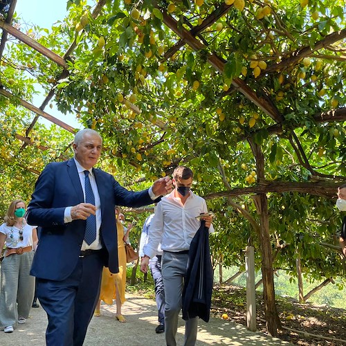 Costa d'Amalfi, direttore generale FAO visita le eccellenze agricole del territorio 
