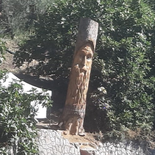 Costa d’Amalfi, il tronco del pino spezzato diventa una scultura [FOTO]